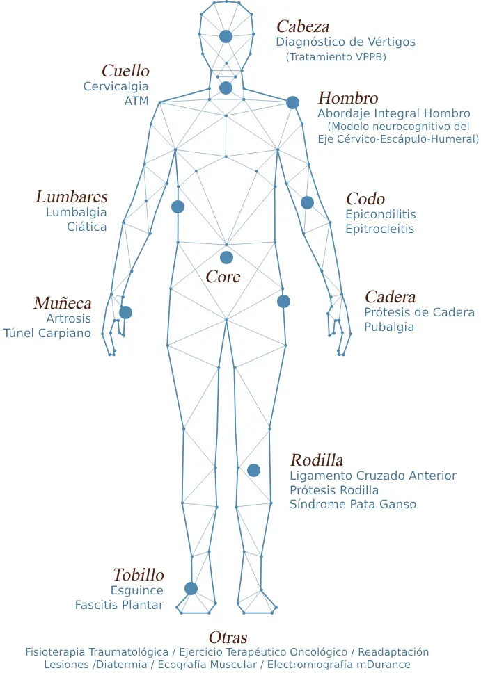 Cabeza. Diagnostico Vértigos (Tratamiento VPPB) / Lesiones Cerebrales Ictus Cuello. Cervicalgia. / ATM Hombro. Abordaje Integral Hombro (Basado en el modelo neurocognitivo del Eje Cervico-Escapulo-Humeral) Codo. Epicondilitis/ Epitrocleitis. Muñeca. Artrosis. / Tunel Carpiano. Lumbares. Lumbalgia / Ciatica. Cadera. Prótesis de Cadera. / Pubalgia. Rodilla. Ligamento Cruzado Anterior / Prótesis Rodilla / Sindrome Pata Ganso. Tobillo. Esguince / Fascitis Plantar Otras: Fisioterapia Traumatológica / Ejercicio Terapeutico Oncológico / Readaptación Lesiones /Diatermia / Ecografía Muscular / Electromiografía mDurance